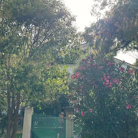 ホームステイ Konstamar